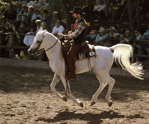 Werner Meier mit Gamed auf der Wikinger-Ranch